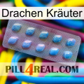 Drachen Kräuter viagra3